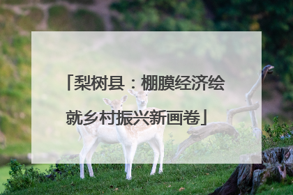梨树县：棚膜经济绘就乡村振兴新画卷