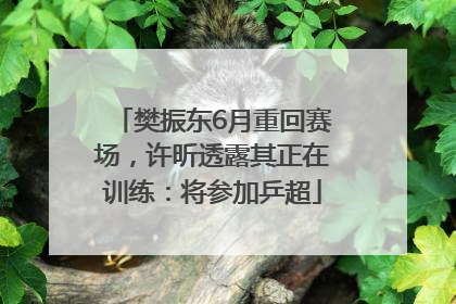 樊振东6月重回赛场，许昕透露其正在训练：将参加乒超