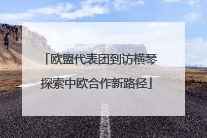 欧盟代表团到访横琴 探索中欧合作新路径
