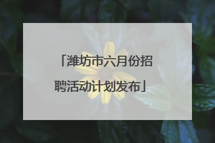 潍坊市六月份招聘活动计划发布