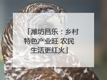 潍坊昌乐：乡村特色产业旺 农民生活更红火