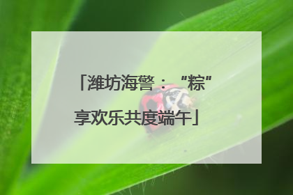 潍坊海警：“粽”享欢乐共度端午