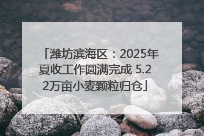 潍坊滨海区：2025年夏收工作圆满完成 5.22万亩小麦颗粒归仓