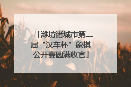 潍坊诸城市第二届“汉车杯”象棋公开赛圆满收官