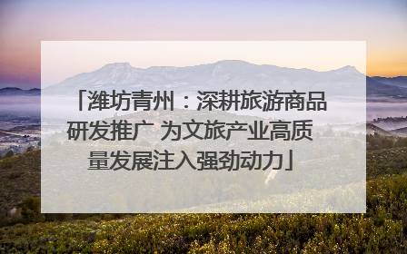潍坊青州：深耕旅游商品研发推广 为文旅产业高质量发展注入强劲动力