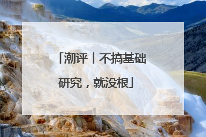 潮评丨不搞基础研究，就没根