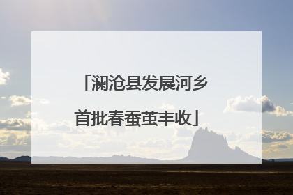 澜沧县发展河乡首批春蚕茧丰收