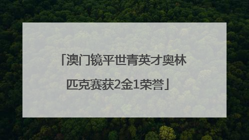澳门镜平世青英才奥林匹克赛获2金1荣誉
