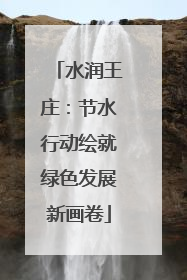 水润王庄：节水行动绘就绿色发展新画卷