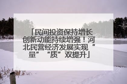 民间投资保持增长 创新动能持续增强！河北民营经济发展实现“量”“质”双提升