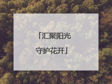 汇聚阳光 守护花开