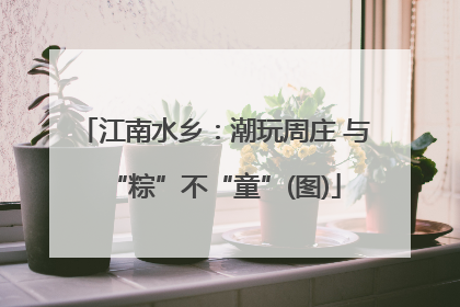 江南水乡：潮玩周庄 与“粽”不“童”(图)