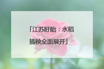 江苏盱眙：水稻插秧全面展开