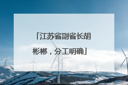 江苏省副省长胡彬郴，分工明确