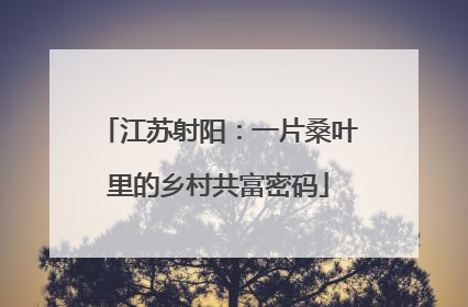 江苏射阳：一片桑叶里的乡村共富密码