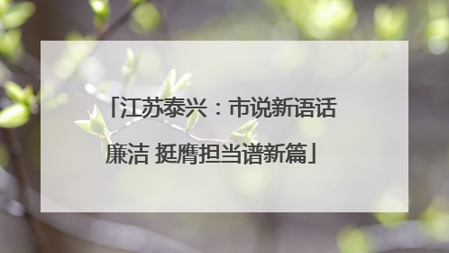 江苏泰兴：市说新语话廉洁 挺膺担当谱新篇