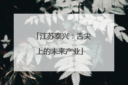 江苏泰兴：舌尖上的未来产业