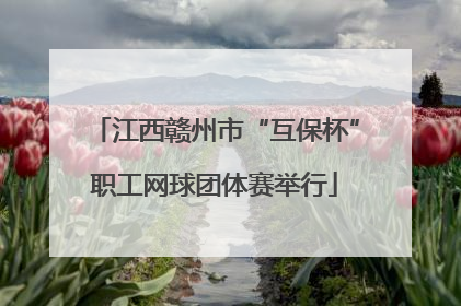 江西赣州市“互保杯”职工网球团体赛举行