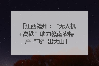 江西赣州：“无人机+高铁”助力赣南农特产“飞”出大山
