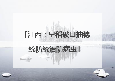 江西：早稻破口抽穗 统防统治防病虫