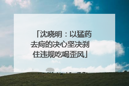 沈晓明：以猛药去疴的决心坚决刹住违规吃喝歪风