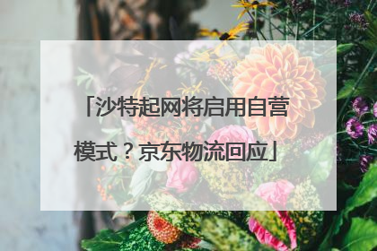沙特起网将启用自营模式？京东物流回应