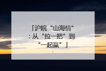 沪皖“山海情”：从“拉一把”到“一起赢”