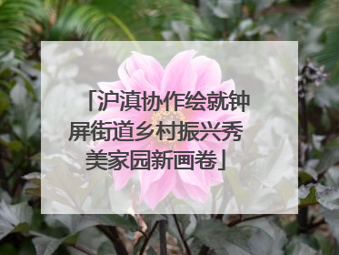 沪滇协作绘就钟屏街道乡村振兴秀美家园新画卷