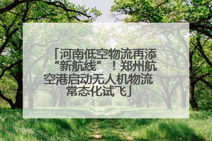 河南低空物流再添“新航线”！郑州航空港启动无人机物流常态化试飞