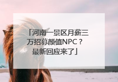 河南一景区月薪三万招募颜值NPC？最新回应来了