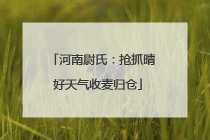 河南尉氏：抢抓晴好天气收麦归仓