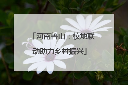 河南鲁山：校地联动助力乡村振兴