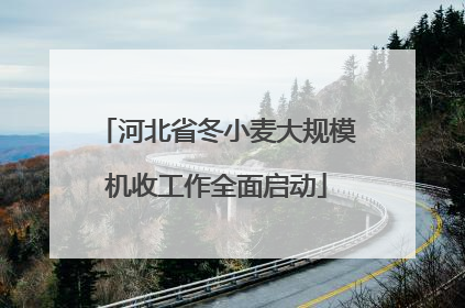 河北省冬小麦大规模机收工作全面启动