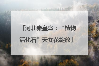 河北秦皇岛：“植物活化石”天女花绽放