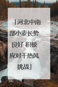 河北中南部小麦长势良好 积极应对干热风挑战