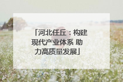 河北任丘：构建现代产业体系 助力高质量发展
