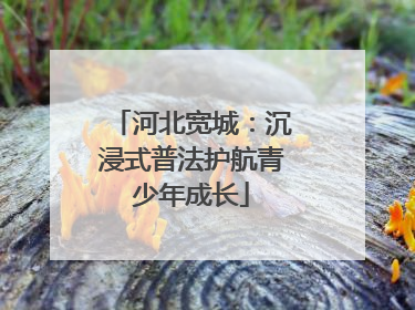 河北宽城：沉浸式普法护航青少年成长