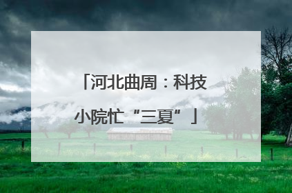 河北曲周：科技小院忙“三夏”