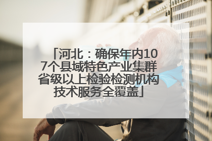 河北：确保年内107个县域特色产业集群省级以上检验检测机构技术服务全覆盖