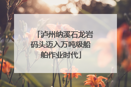 泸州纳溪石龙岩码头迈入万吨级船舶作业时代