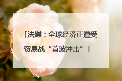 法媒：全球经济正遭受贸易战“首波冲击”