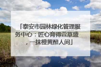 泰安市园林绿化管理服务中心：匠心育得萱草盛，一抹橙黄醉人间