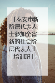泰安市新阶层代表人士参加全省新的社会阶层代表人士培训班