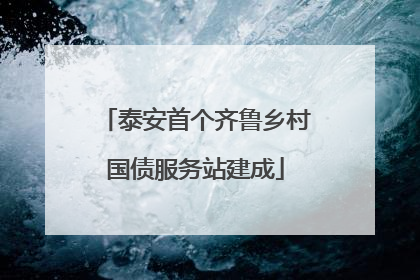 泰安首个齐鲁乡村国债服务站建成
