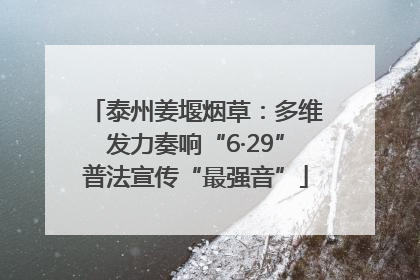 泰州姜堰烟草：多维发力奏响“6·29”普法宣传“最强音”