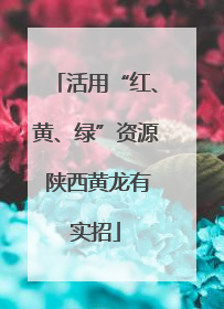 活用“红、黄、绿”资源 陕西黄龙有实招