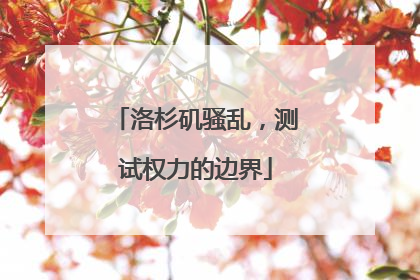 洛杉矶骚乱，测试权力的边界