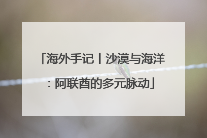 海外手记丨沙漠与海洋：阿联酋的多元脉动
