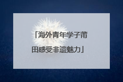 海外青年学子莆田感受非遗魅力