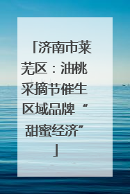 济南市莱芜区：油桃采摘节催生区域品牌“甜蜜经济”
